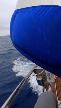 A sailboat with a vibrant blue spinnaker represents the thrill and freedom of sailing on the open sea, immersing in the adventure of navigating through waves on a journey of exploration