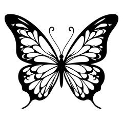 Butterfly silhouette vector image isolated on white background