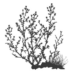 Obraz premium Silhouette seaweed plant black color only