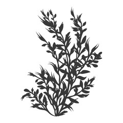 Naklejka premium Silhouette seaweed plant black color only