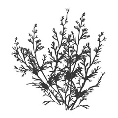 Naklejka premium Silhouette seaweed plant black color only