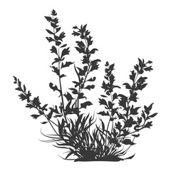 Naklejka premium Silhouette seaweed plant black color only