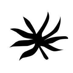 tropical leaf silhouette