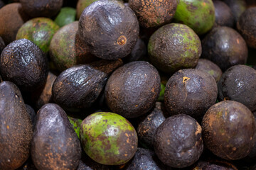 Ripe brown avocado fruits on a store counter in Asia. Thai fruit market