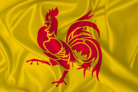 Flag of Wallonia waving in the wind