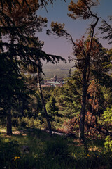 Monasterio del Escorial en la Comunidad de Madrid