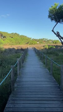 DOLLY SHOT - Northern Litoral Natural Park in Ofir, Esposende, Portugal. Wooden boardwalk.