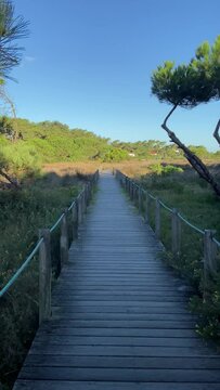 DOLLY SLOW MOTION SHOT - Northern Litoral Natural Park in Ofir, Esposende, Portugal. Wooden boardwalk.