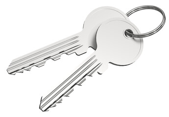 Two keys isolated on transparent background