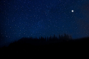 Fototapeta premium Countless twinkling stars in night sky over forest