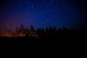 Countless twinkling stars in night sky over forest