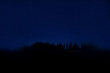 Countless twinkling stars in night sky over forest