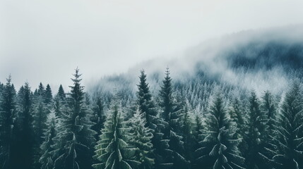 Fototapeta premium Snow-laden pine trees stand tall against a misty backdrop, with the dawn light barely breaking through the dense winter fog - Generative AI