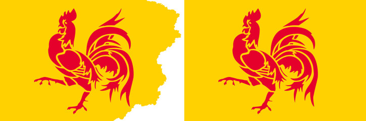 Walloon flags vector. Standard flag and with torn edges