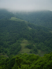 Naklejka premium landscape view in spring
