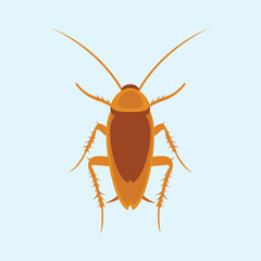 Beetle cockroach vector icon.Realistic vector icon isolated on white background beetle cockroach.