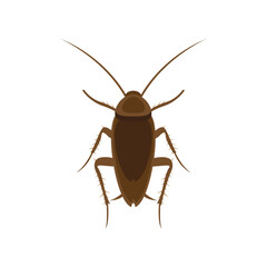 Beetle cockroach vector icon.Realistic vector icon isolated on white background beetle cockroach.