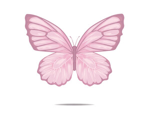 pink buterfly flock positive quote	