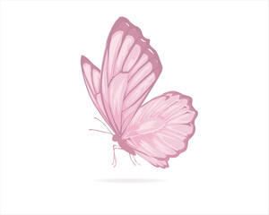 pink buterfly flock positive quote	