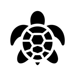 Obraz premium turtle 8