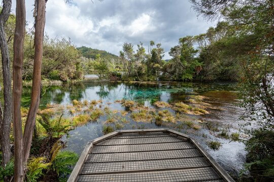 Te Waikoropupū Springs, also known at Pupu Springs, Takaka, Tasman, New Zealand.