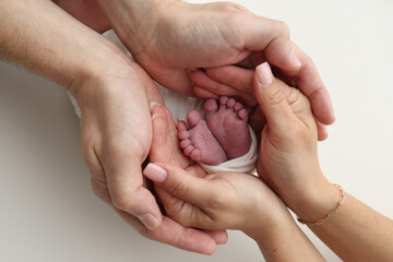 The palms of the father, the mother are holding the foot of the newborn baby in a white blanket. Feet of the newborn on the palms of the parents. Studio macro photo of a child's toes, heels and feet