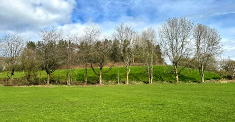 Lush green grass covers the ground, while a row of leafless trees stands between the field and a raised embankment, under a blue sky with scattered clouds in, Oakenshaw, Bradford, UK