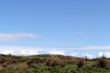 Hilly meadow with green grass against a blue sky with scattered white clouds