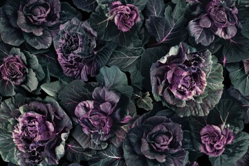 Purple flowers with green leaves on a black background - Powered by Adobe