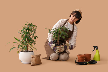 Beautiful young female gardener with tools taking care of houseplants on brown background