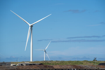 秋田港に林立する風力発電プロペラ