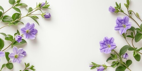 Fototapeta premium Delicate purple flowers bordering a blank canvas