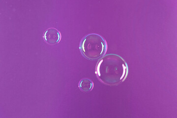 Beautiful transparent soap bubbles on violet background