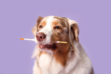 Cute dog with paint brush on lilac background