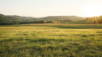 Obraz premium A field of grass with a backdrop of rolling hills and distant trees under a clear sky