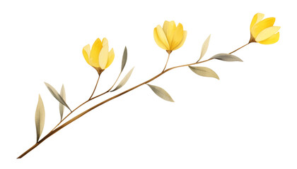 yellow flower branch watercolor isolated on transparent background cutout
