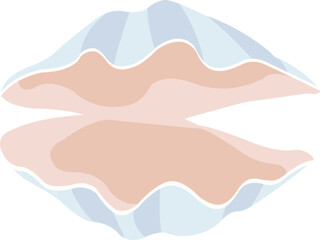 Sea Shell Illustration