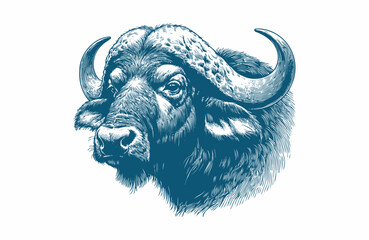buffalo vintage illustration. isolated on white background