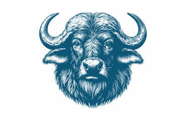buffalo vintage illustration. isolated on white background