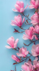Magnolia decoration flower ornament copy space background
