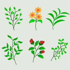 Flat illustration collection of flower and leafe. Vector flower and leafe design.