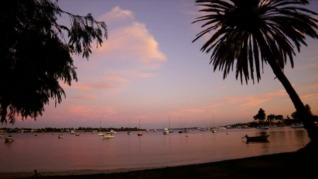 Perth City River Boats Dusk Sunset Timelapse Western Australia Palm Trees Silhouette