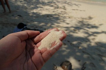 hand with sea sand on the beach