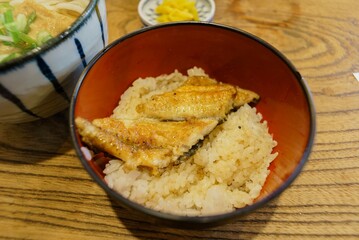 Grilled Eel on Rice
