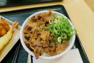 Japanese beef rice bowl with soy sauce on a white bowl