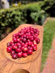 grão de café, coffee bean