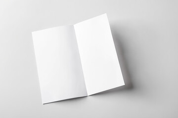 Blank Brochure Mockup