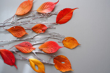 Colorful fallen leaves composition on gray background. Autumnal concept decoration background.