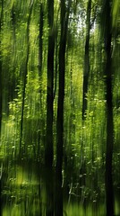 Obraz premium Realistic photography of coniferous forest. Abstract background of a northern forest