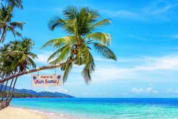 Here is Koh Samui - wooden sign on palm tree, paradise tropical island, sea sand beach landscape, ocean water, sun sky cloud, Surat Thani, Thailand, summer holidays, vacation, Southeast Asia travel